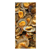 Azores limpets "lapas" rack card design