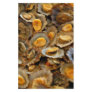 Azores limpets "lapas" stationery paper