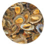 Azores limpets "lapas" round stickers