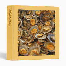 Azores limpets "lapas" vinyl binder