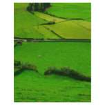 Azores pastures custom flyer