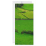 Azores pastures custom rack cards