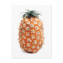 Azores Pineapple Post Card