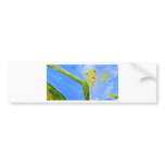 Azure.JPG bumper stickers