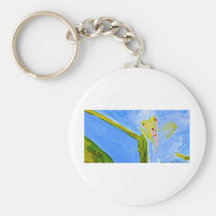 Azure.JPG Keychains