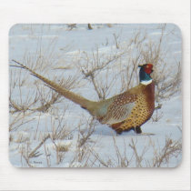 B0022 Ring-necked Pheasant Mouse Pad