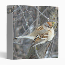 B0024 Common Sparrow binder