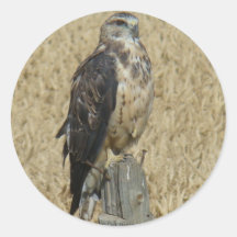 B0035 Ferruginous Hawk Round Sticker