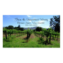 B017 BIZ - Napa Valley Grapevines Business Card