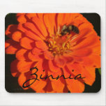b1 Coral Zinnia Bee Mousepads