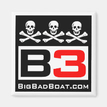 [B3] Skull & Crossbones Magnet