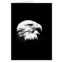B&W American Bald Eagle Cards