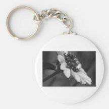 B&W Beauty II Key Chains