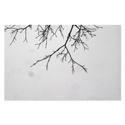 b&w branches stationery by eevernon