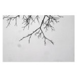 b&w branches stationery