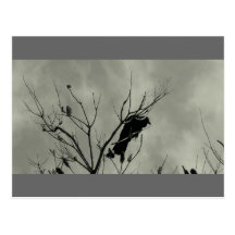 b&w crow post cards