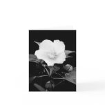 B&W Rose Mallow Blank Note Card