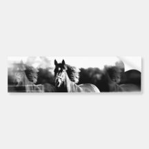 B&W Running Horse Bumper Stickers