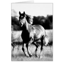 B&W Running Horse Greeting Cards