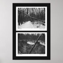 B&W Winter #1 Posters
