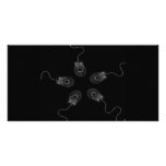 B&W X-Ray Computer Mice Custom Photo Card