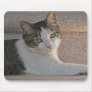 BA- Grey and White Kitty Cat Resting Mousepad