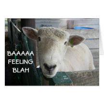 BAAAAA-FEELING BLAH- GET WELL GREETING CARD