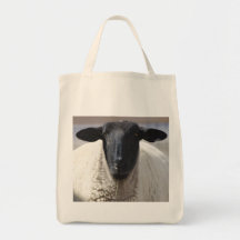 Baag it bags