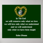 Baba Dioum Quote