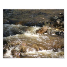 Babbling Brook 10x8 Photographic Print