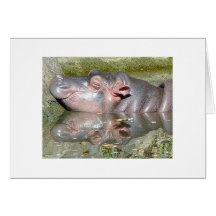 Babby Hippo Blank Greeting Card
