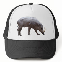 Babirusa Hat
