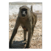 Baboon and Baby Greeting Card