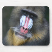 Baboon Face Mouse Pad