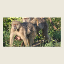 Baboon Mothers photo cards