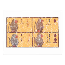 babouins cartes postales