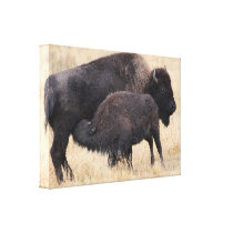 baby and mom gallery wrap canvas