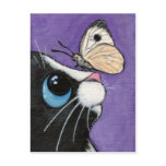 Baby and the Large White - Cat Postcard
