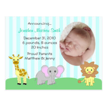 Baby Animals Birth Announcements Postcard (TBA)