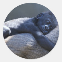 Baby Ape & Momma Round Stickers