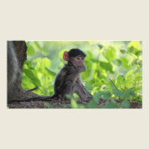 Baby Baboon photo cards