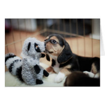 Baby Beagle And Her New Toy Card