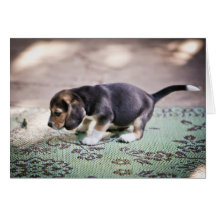 Baby Beagle and Leaf Card