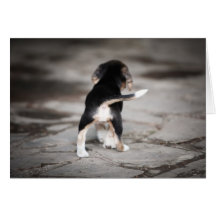 Baby Beagle Bottom Cards