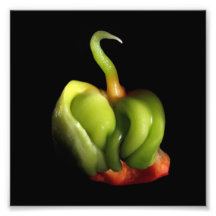 Baby Bell pepper ''Capsicum annuum'' Photo Art