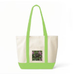Baby Birds in Rhododendron Bag