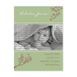Baby Birth Announcement Sage Green Branch Design