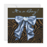 Baby Blue Brown Zebra Baby Boy Shower