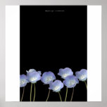 Baby blue eyes poster