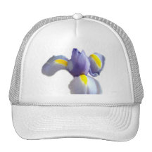 Baby Blue Iris Hat